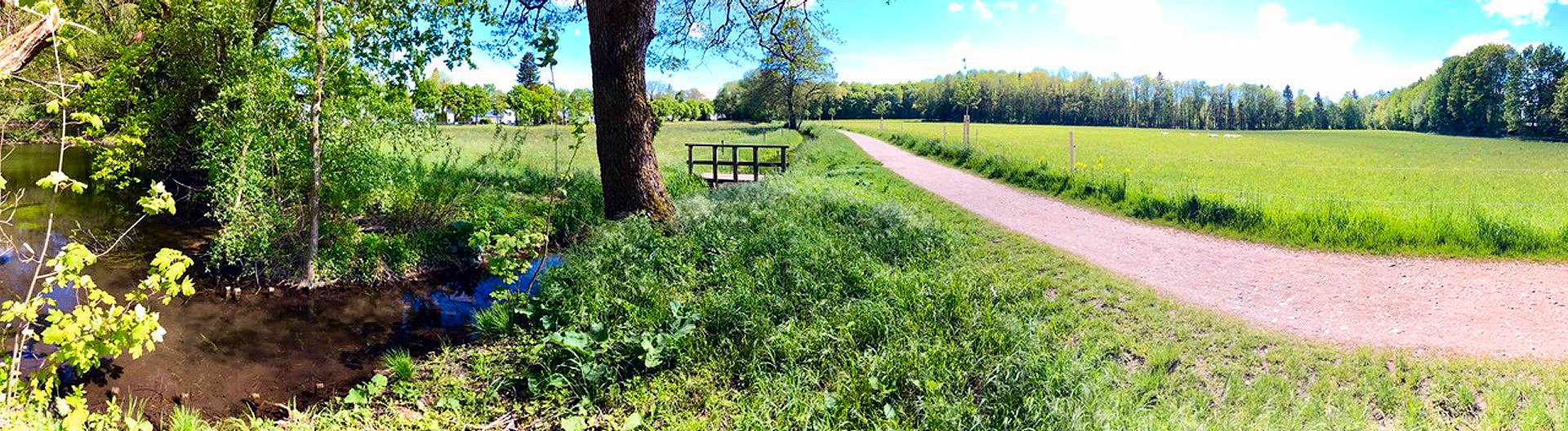 Walk and Talk Psychotherapie Greber